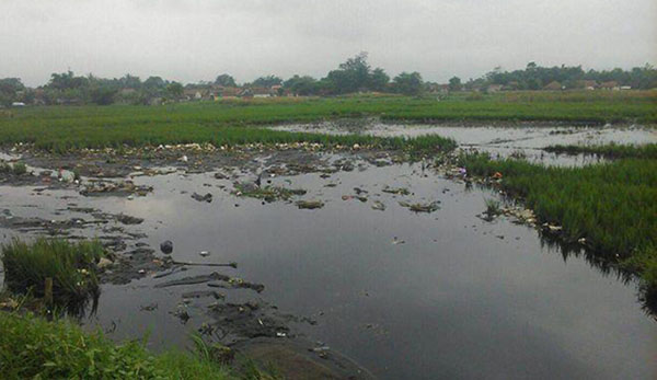 451 Hektar Lahan Pertanian di Kabupaten Bandung Tercemari limbah