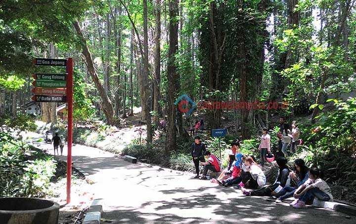 Merasakan Sejuknya Suasana Tahura