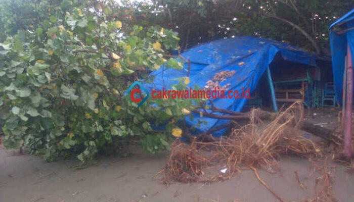 Ratusan Warung Tenda Biru Dipantai Barat Pangandaran Porak Poranda Diterjang Gelombang Pasang