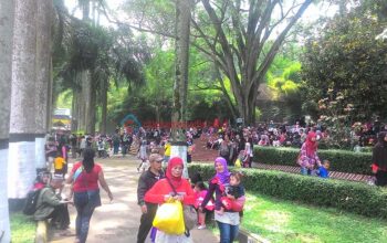 Asyiknya Menikmati Masa Liburan Di Bonbin