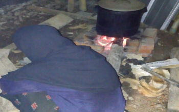 Si Melon di Tasik Utara Harganya Rp 35 Ribu