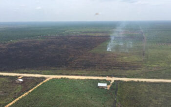 5 Helikopter Pembom Air Dikerahkan, Kebakaran Hutan Padam