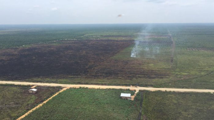 5 Helikopter Pembom Air Dikerahkan, Kebakaran Hutan Padam