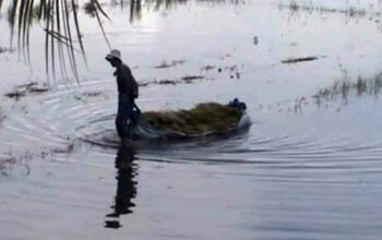 Air Rendam Sawah, Petani di Pangandaran Rugi Puluhan Juta Rupiah