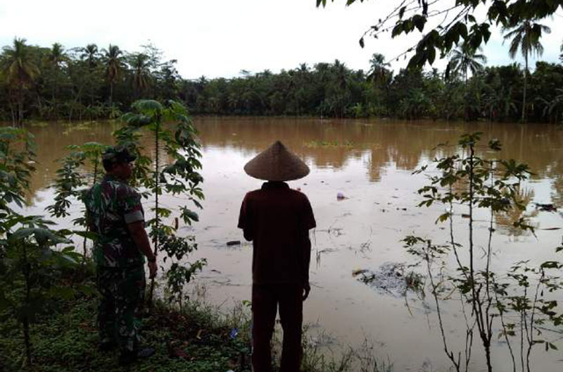 Hujan Deras Guyur Ciamis, 250 Rumah Warga Terendam Banjir