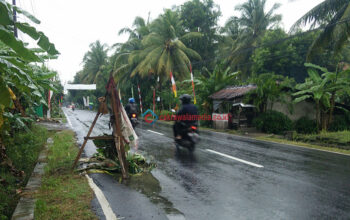 Batang Pohon Pisan dan Karung Hiasi Jalan Raya Pangandaran-Cijulang