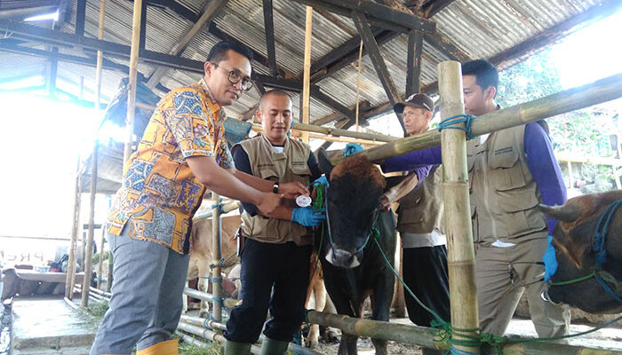 Diskopindagtan Kota Cimahi Terjunkan Tim Dokter Hewan