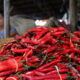 Cuaca Ekstrim, Harga Cabai Meroket