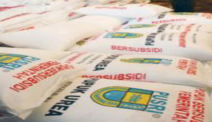 Pupuk Bersubsidi di Lembang Mahal dan Langka