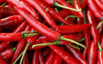Harga Cabai Mulai Naik Hingga Rp. 80 Ribu/Kg