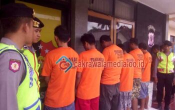 Sindikat Spesialis Pencuri Ternak di Bongkar Polisi