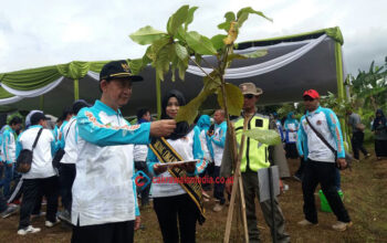 Bulan Menanam Pohon Tingkat Kota Cimahi Tanam 500 Pohon