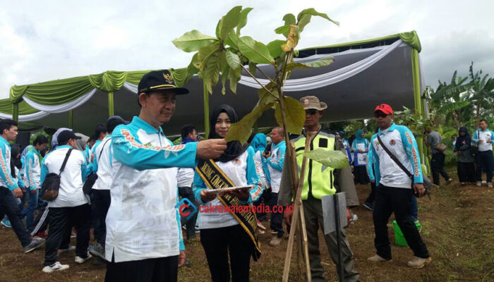 Bulan Menanam Pohon Tingkat Kota Cimahi Tanam 500 Pohon