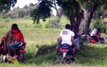 Kawasan Puncak Jadi Tempat Memadu Kasih