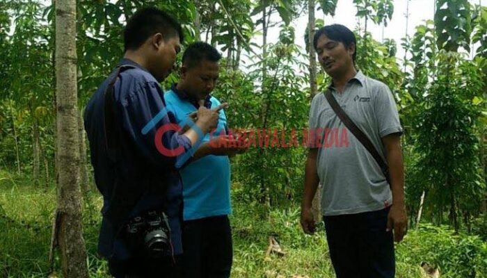 Miris, Generasi Penerus Pertanian di Pangandaran Memprihatinkan