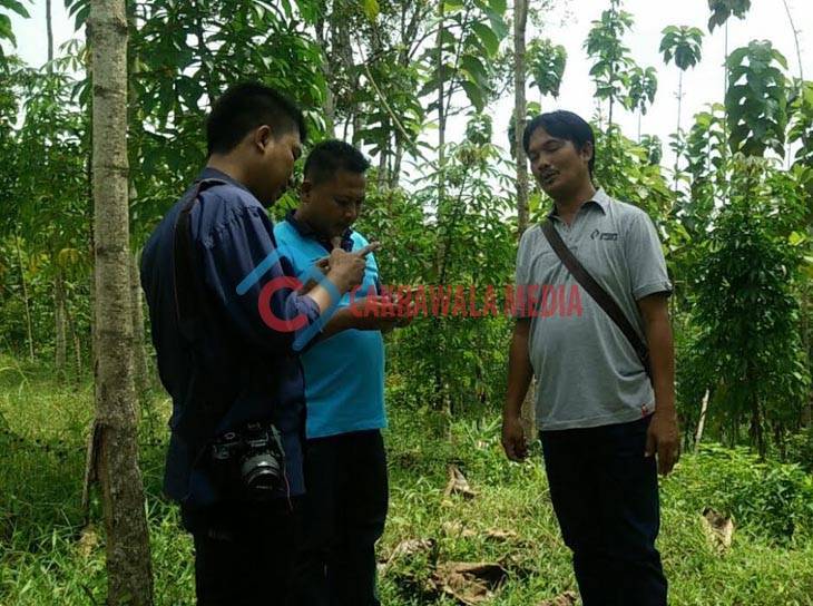 Miris, Generasi Penerus Pertanian di Pangandaran Memprihatinkan