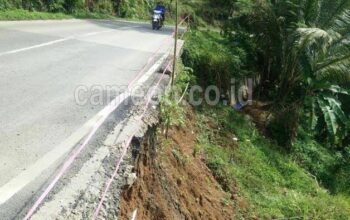 Tebing Setinggi 10 Meter di Perbatasan Tasikmalaya-Pangandaran Longsor