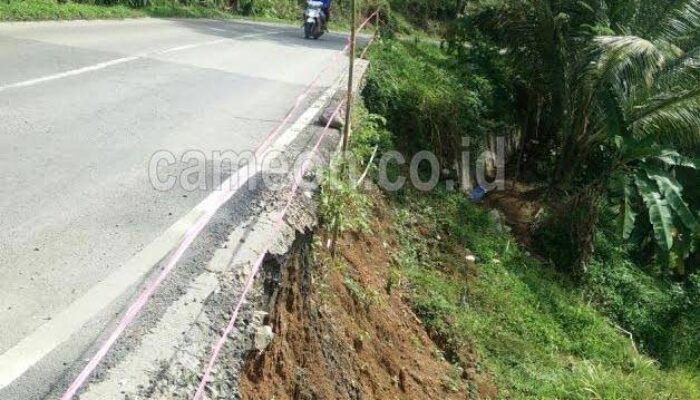 Tebing Setinggi 10 Meter di Perbatasan Tasikmalaya-Pangandaran Longsor