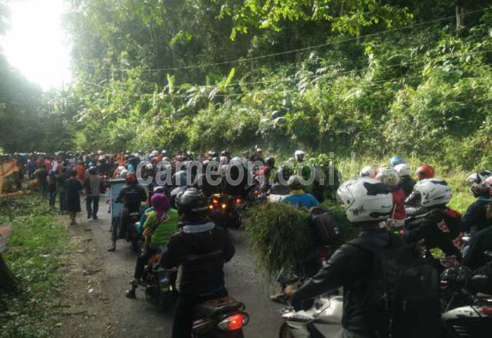 Laporkan Pohon Tumbang, Babinmas Putrapinggan Sesalkan Sikap PLN Rayon Pangandaran