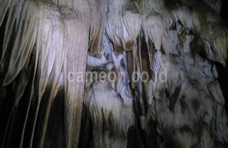 Pangandaran Miliki 100 Objek Wisata Goa Yang Belum Diketahui Wisatawan Luas