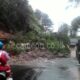 Tebing Setinggi 15 Meter di Puncak Bogor Longsor Akibat Intensitas Hujan Tinggi