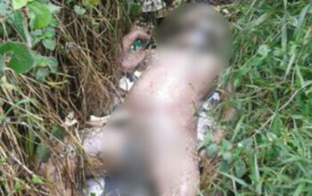 Warga Jl. Haminteu Geger Temukan Sesosok Mayat di Semak-semak Irigasi