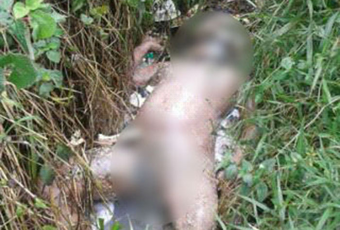 Warga Jl. Haminteu Geger Temukan Sesosok Mayat di Semak-semak Irigasi