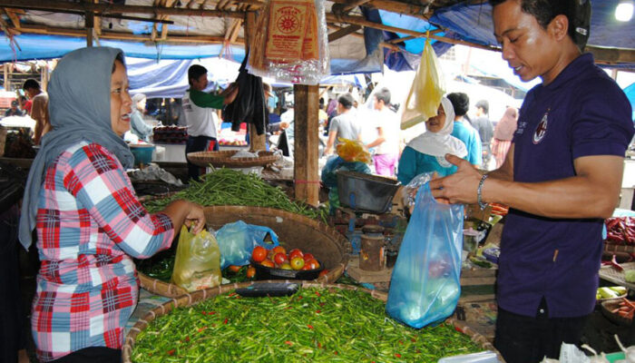 Harga Makin Pedas, Mensos Khofifah Berikan 5.000 Bibit Cabai