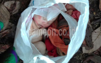 Mayat Bayi Dalam Kantong Kresek Gegerkan Warga Gunung Tanjung
