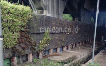Vertikal Garden Bandung Barat Tidak Terurus