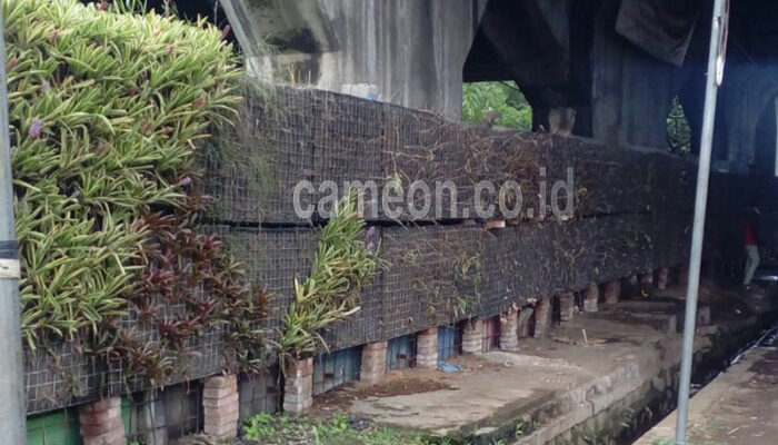 Vertikal Garden Bandung Barat Tidak Terurus