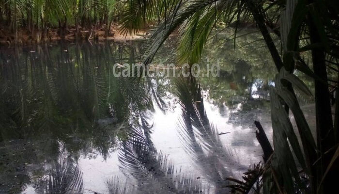 Sejumlah Warga Keluhkan Limbah Pabrik PT PECU yang Mencemari Sungai