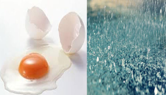Usul Pecahtelor untuk Petrichor