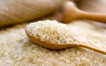 Pemda Pangandaran Melalui DPMPTSPKP Menggelar OPM