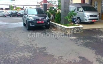 Wacana Pemasangan Logo Pemda di Mobil Dinas Menuai Pro-Kontra