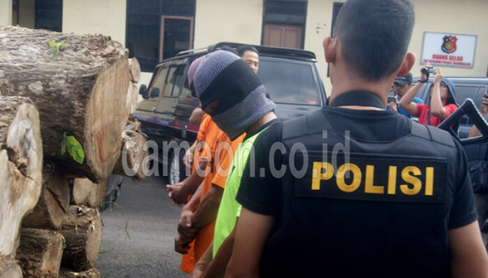 Polres Tasikmalaya dan Perhutani Ungkap Sindikat Pencuri Kayu Jati