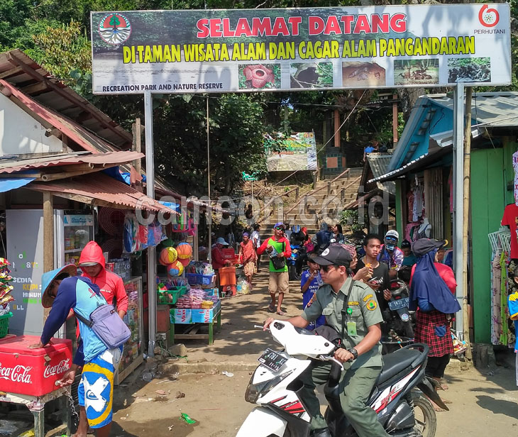 Pengunjung Observasi Cagar Alam Selama Lebaran Mencapai Puluhan Ribu