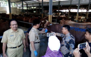 Pemkot Cimahi Awasi Pelaksanaan Idul Qurban