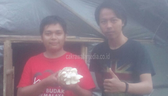 Pemuda Kampung Garunggang Coba Rintis Usaha Budi Daya Jamur