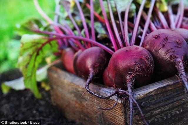 Ini Manfaat Buah Bit Bagi Penyuka Olahraga