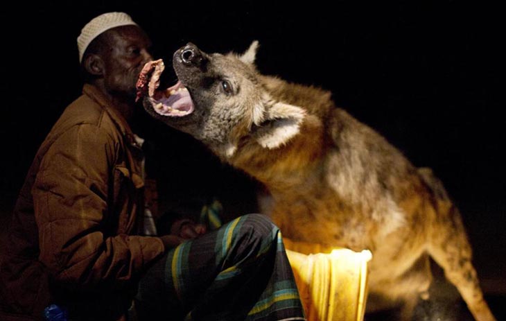 Ini Pria yang Berjulukan Manusia Hyena