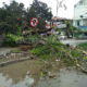 Sebuah Pohon Besar Depan Mesjid Agung Pangandaran Roboh
