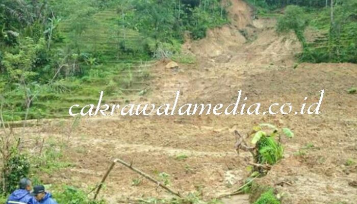 Hujan Deras Sebabkan Longsor Seluas 1,5 Hektare di Pangandaran