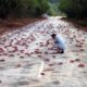Jalanan Berubah Jadi Warna Merah, Ini Penyebabnya