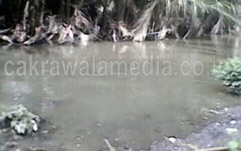 Pasca Banjir, Warga Babakan Minta Dinkes Lakukan Fogging