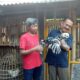 Peternak Ayam Hias: Hatur Nuhun Kang Yayat