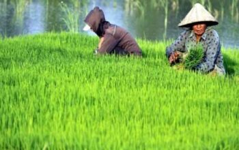 Ribuan Petani di Pangandaran Terima Bantuan Kartu Tani Dari Pemerintah Pusat