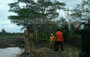 Tanggul Batas Jebol, 150 Hektare Sawah di Ciganjeung Terendam Banjir