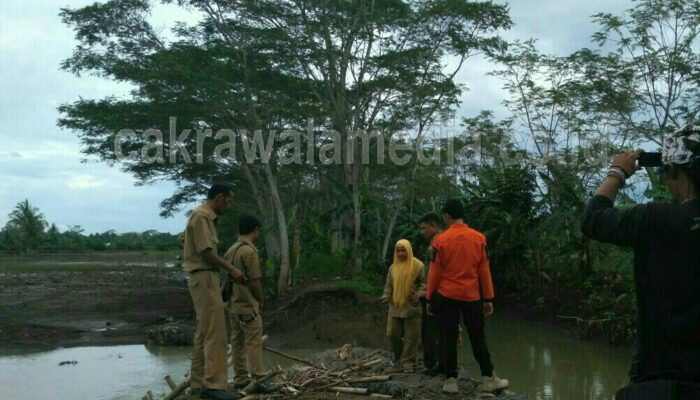 Tanggul Batas Jebol, 150 Hektare Sawah di Ciganjeung Terendam Banjir
