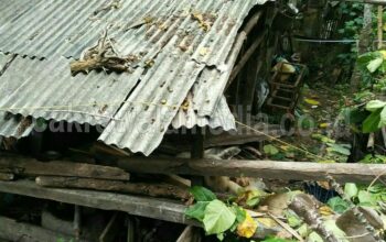 Tebing Setinggi 8 Meter di Cirateun Pangandaran Longsor Menimpa Rumah Warga
